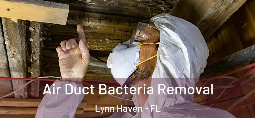  Air Duct Bacteria Removal Lynn Haven - FL