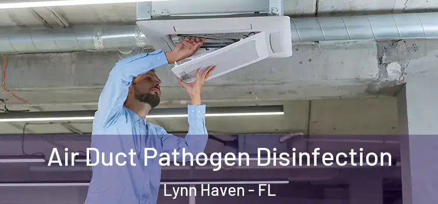  Air Duct Pathogen Disinfection Lynn Haven - FL