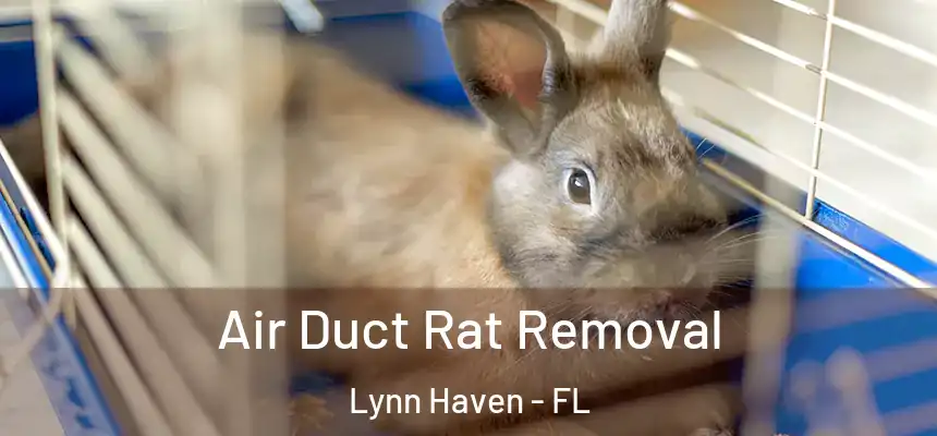  Air Duct Rat Removal Lynn Haven - FL