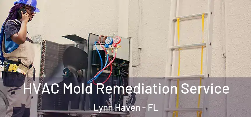  HVAC Mold Remediation Service Lynn Haven - FL