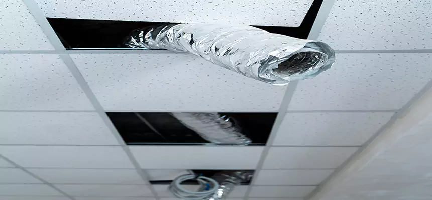 Our Air Duct Pet Hair Removal Services in Lynn Haven, FL