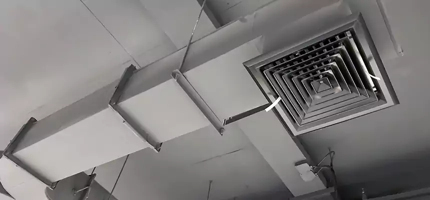 Restorative Allergy Relief Vent Cleaning – Coil, Blower & Housing Detail in Lynn Haven