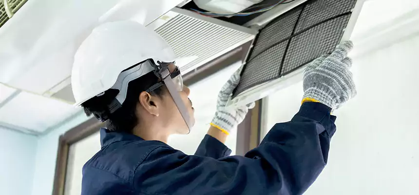 Our Mold & Mildew Removal from Air Ducts Services in Lynn Haven, FL