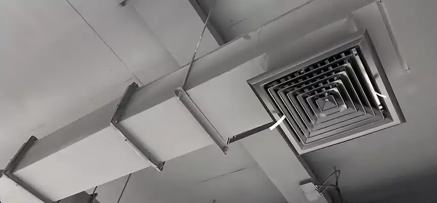 Our Rodent Droppings In Vents Services in Lynn Haven, FL