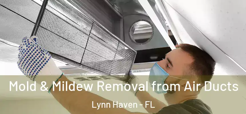  Mold & Mildew Removal from Air Ducts Lynn Haven - FL