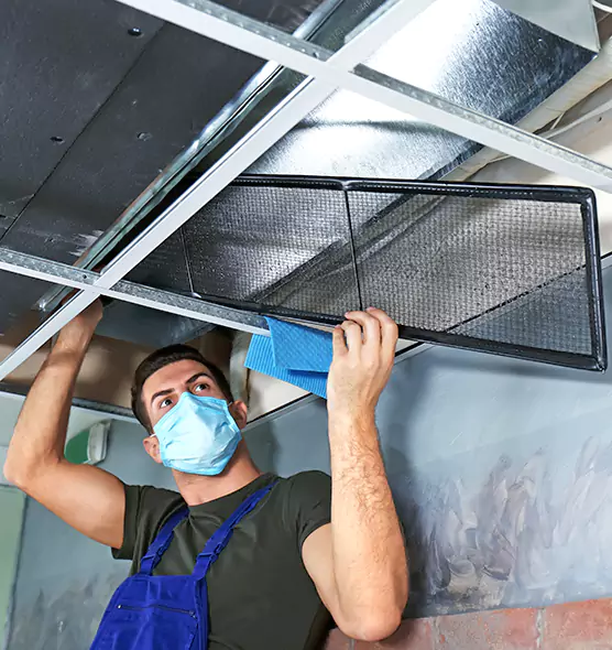 About Air Duct Bacteria Removal in Lynn Haven