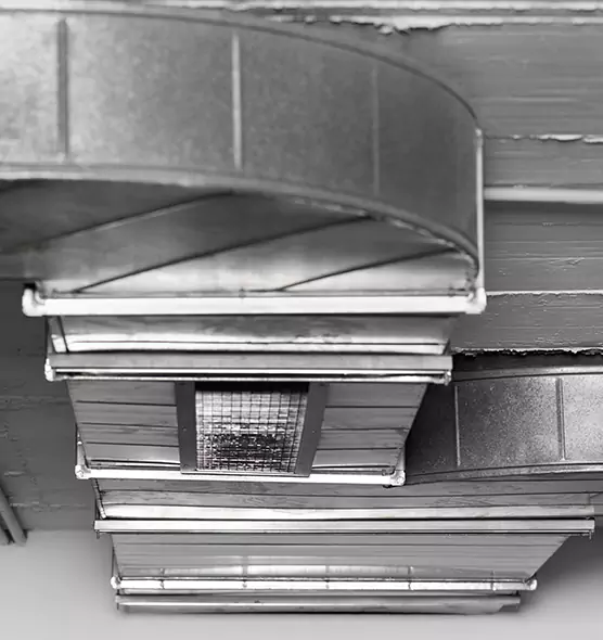 Professional Air Duct Pest Removal in Lynn Haven, FL