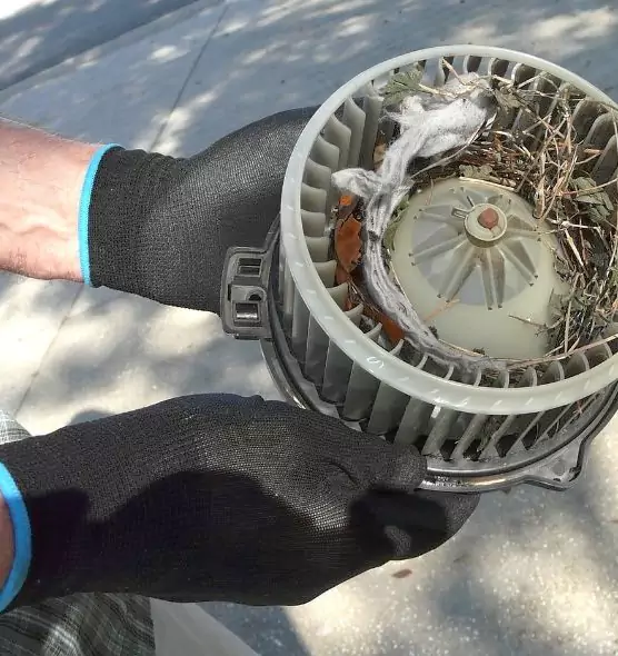 About Air Duct Rat Removal in Lynn Haven, FL