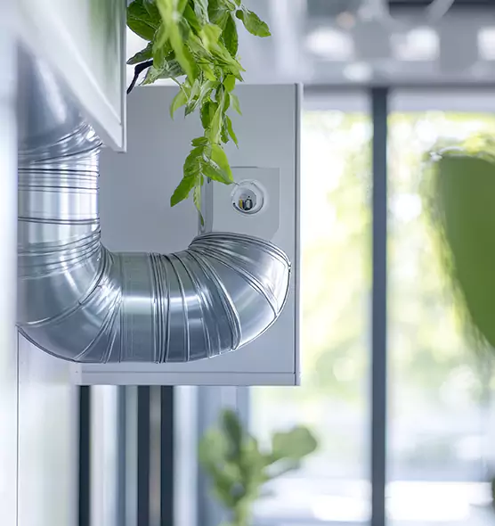 Professional Eco-Safe Dryer Vent Cleaning in Lynn Haven, FL