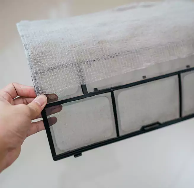 Why Homeowners & Businesses Trust Us in Lynn Haven, FL?