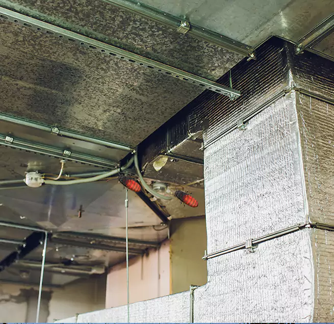 Why Homeowners & Businesses Trust Us Lynn Haven, FL?