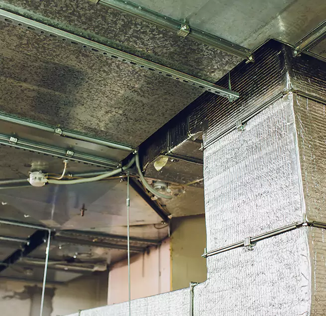 Why Homeowners & Businesses Trust Us in Lynn Haven, FL?